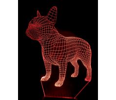 Beling 3D lampa, Francúzsky bull dog, 7 farebná S22