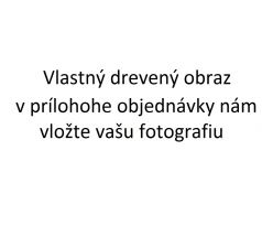 Beling, vlastný drevený obraz, A4 S458