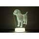 Beling 3D lampa, Labrador , 7 farebná S42QASTA