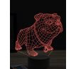 Beling 3D lampa, vtipný bulldog,7 farebná OR14