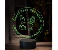Beling, 3D lampa s fotkou, 16 farebná, VF07