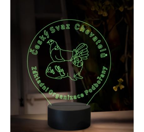 Beling, 3D lampa s fotkou, 16 farebná, VF07