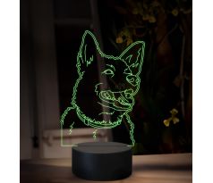 Beling, 3D lampa s fotkou, 16 farebná, VF14
