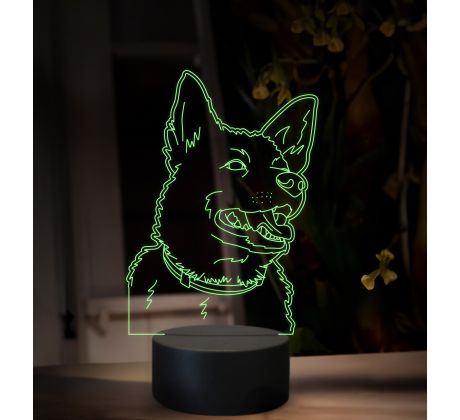 Beling, 3D lampa s fotkou, 16 farebná, VF14